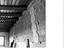 Immagine 23
