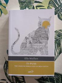 Tre anni in india con la mia gatta 🫶🏼 