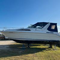 Sea Ray 300 Mercruiser