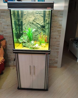 Acquario cubo 170 L della wave