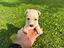 Immagine 5