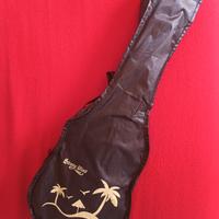 ukulele per principianti 