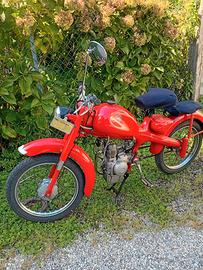 MOTOM