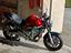 Immagine 6