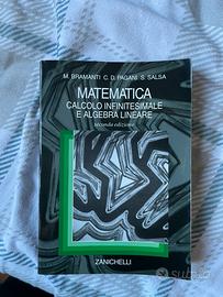 Matematica Calcolo Infinitesimale e Algebra Linear