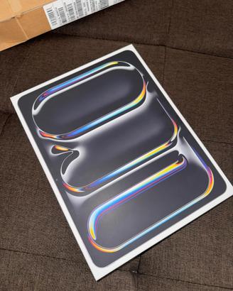 Ipad Pro 13” 256 gb wifi+cellular m4