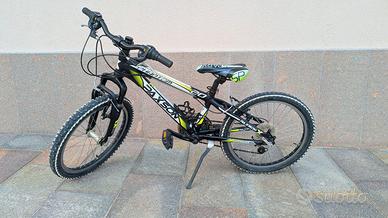 Bicicletta 20 pollici bambino