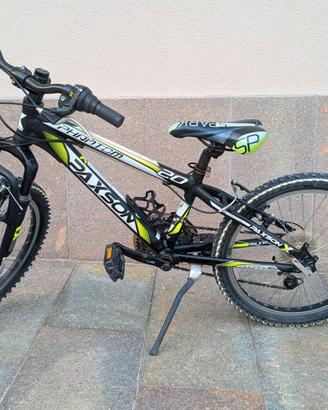 Bicicletta 20 pollici bambino