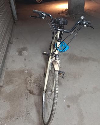 bicicletta da passeggio 