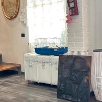 Insegna moretti baffo