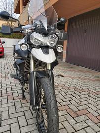 Triunph tiger 800 abs