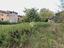 Immagine 7