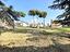 Immagine 21
