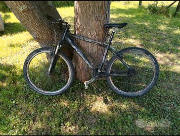 Bici mtb