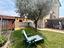 Immagine 29