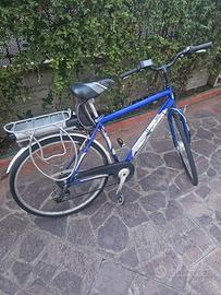 Bicicletta Mountain Bike Elettrica