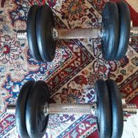 Coppia  di manubri con piastre