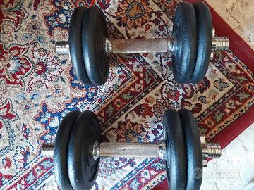 Coppia  di manubri con piastre