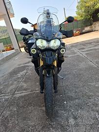 Triumph Tiger 800 XC