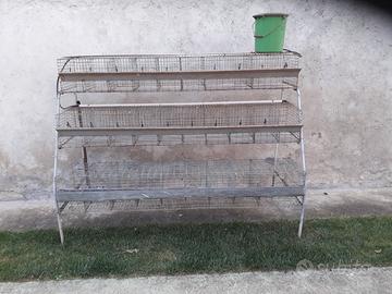 Gabbia  x conigli