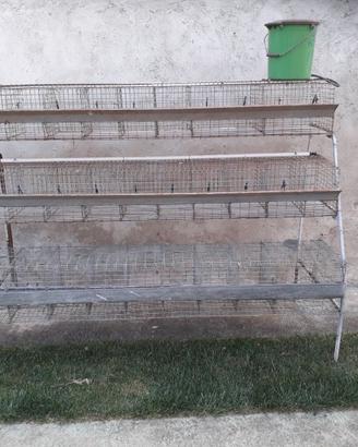 Gabbia  x conigli
