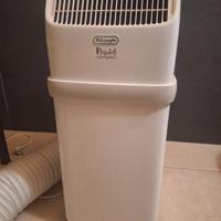 Condizionatore pinguino compact