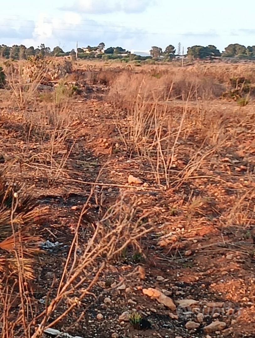 7000mq di terreno - Vista 4