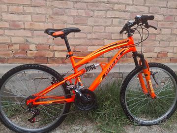 bicicletta