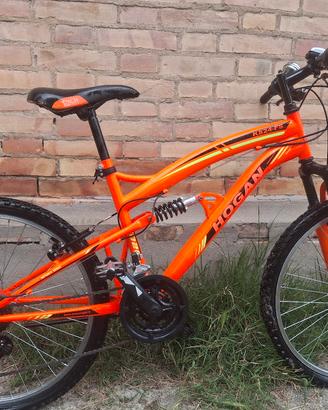 bicicletta