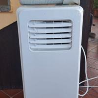 Pinguino condizionatore portatile