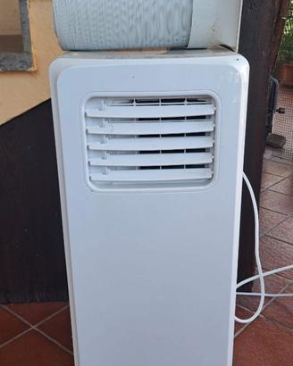 Pinguino condizionatore portatile