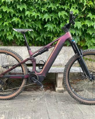 E-BIKE