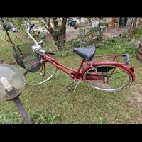 bicicletta olandesina 