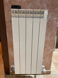 Radiatori in alluminio (termosifone)