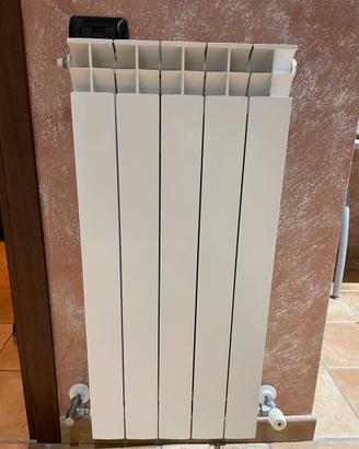 Radiatori in alluminio (termosifone)