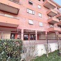 Ampio Trilocale con ascensore e 2 balconi abitabil