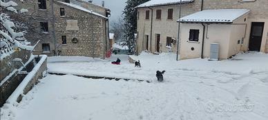 Rustico Foligno