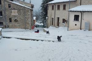 Rustico Foligno