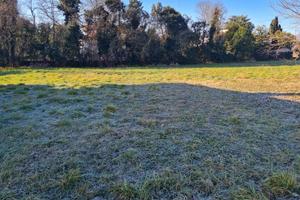 TERRENI EDIFICABILI A ROVEREDO IN PIANO