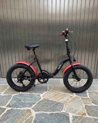 Fat bike