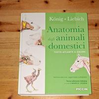 Anatomia degli animali domestici 