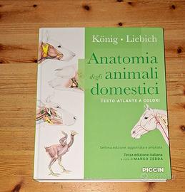 Anatomia degli animali domestici 