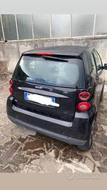 Smart 2009