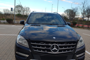 Mercedes Benz ML 250