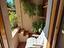 Immagine 18