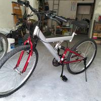 Bici Mountain bike 