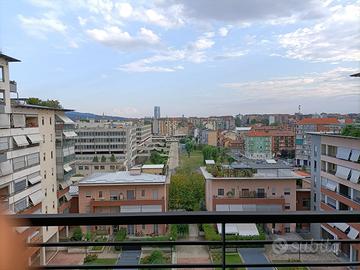 Studenti universitari Torino