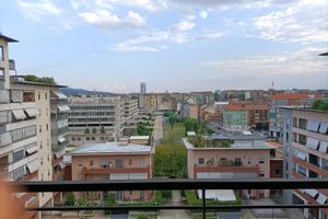 Studenti universitari Torino