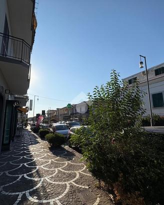 NEGOZIO A POLLENA TROCCHIA