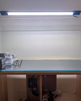 Acquario, Luce e Filtro